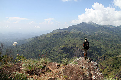 Attraction in Sri Lanka