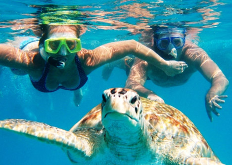 Attraction in Sri Lanka