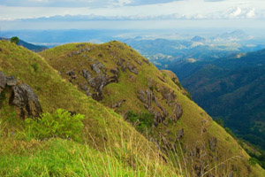Attraction in Sri Lanka
