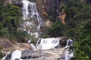 Attraction in Sri Lanka