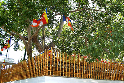 Anuradhapura in Sri Lanka