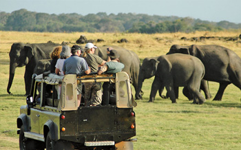 Attraction in Sri Lanka