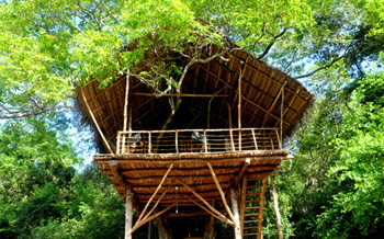 Attraction in Sri Lanka