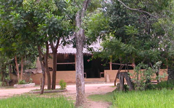 Attraction in Sri Lanka