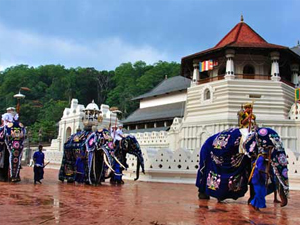 Attraction in Sri Lanka