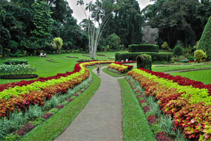 Attraction in Sri Lanka